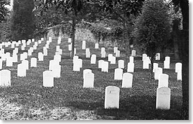 Rest_Friedhof